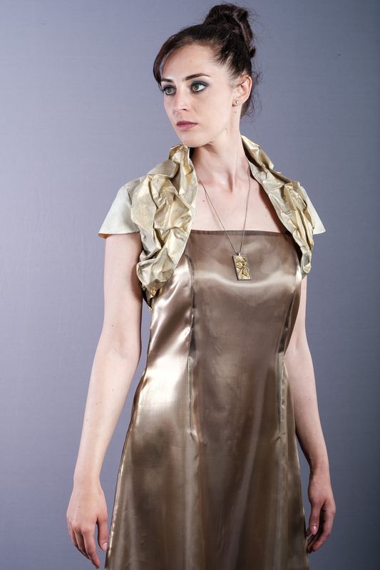 Bronze organza dress